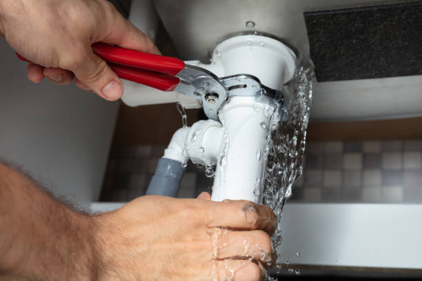 Best Professional water damage repair  in Lenwood, CA