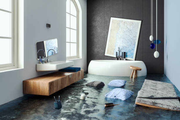 Carpet water damage restoration in Lenwood, CA