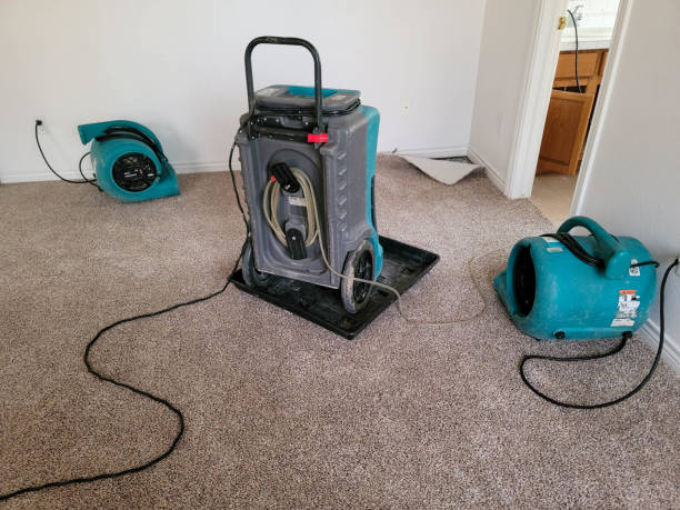 Best 24-hour water damage restoration  in Lenwood, CA