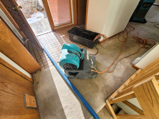 Water damage restoration insurance claims in Lenwood, CA