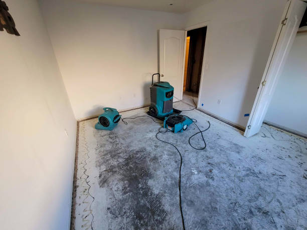 Best Flood damage cleanup  in Lenwood, CA