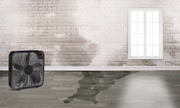 Best Flood restoration services  in Lenwood, CA