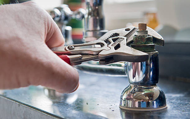 Best Mold removal after water damage  in Lenwood, CA