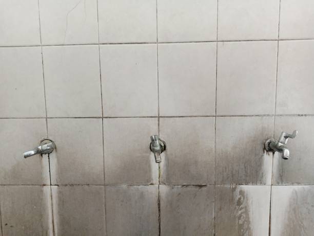 Best Water damage restoration near me  in Lenwood, CA