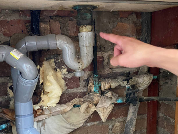 Best Local water damage restoration  in Lenwood, CA