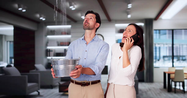  Lenwood, CA Water damage restoration Pros